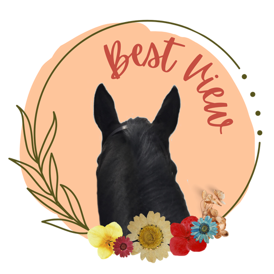 Best View - Horse Ears Sticker