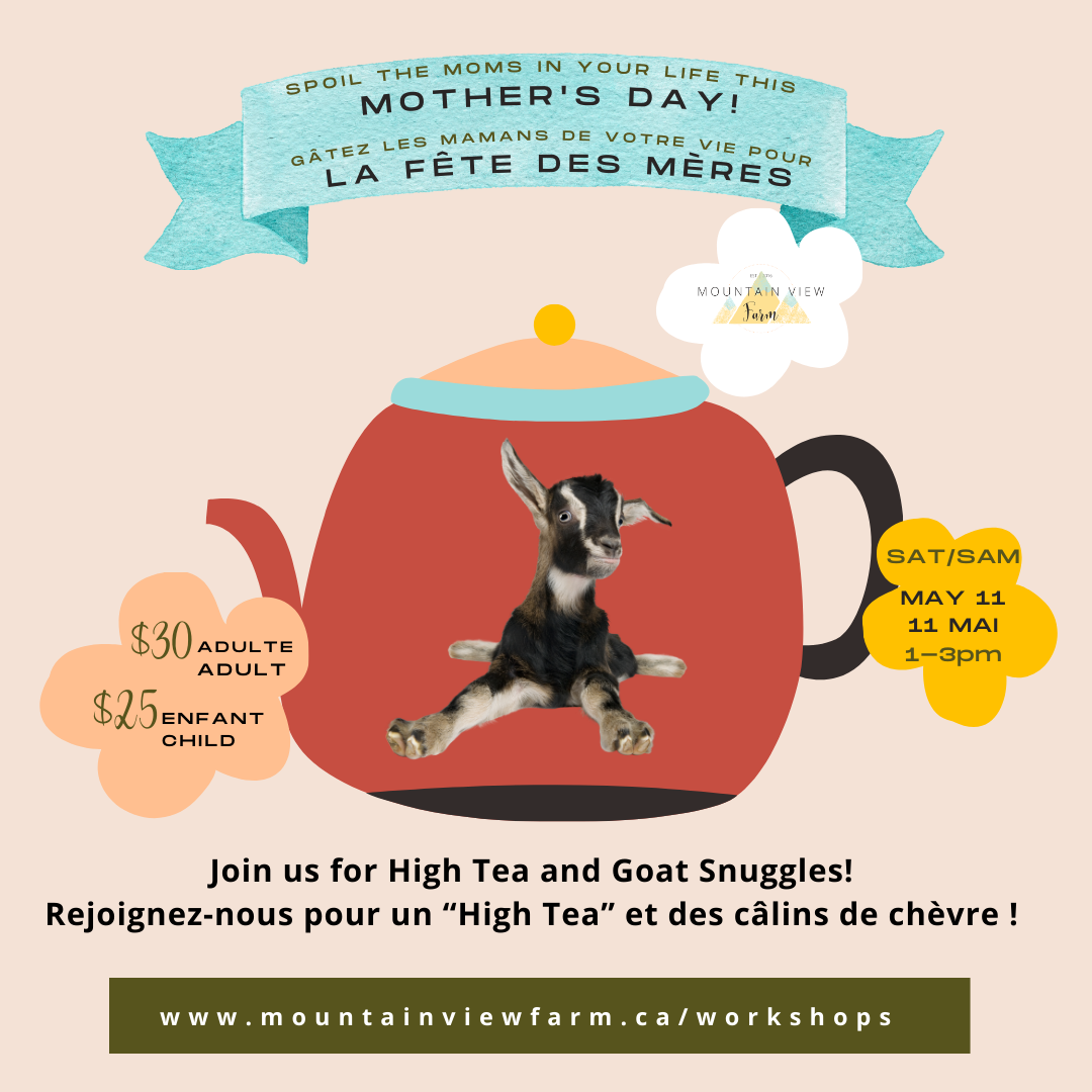 Mother's Day Tea & Goat Snuggle